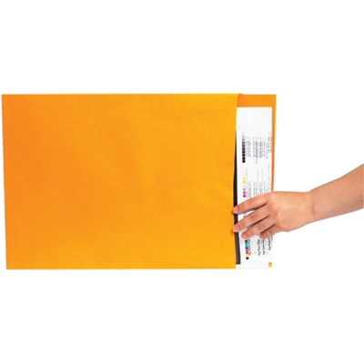 18 x 23" Kraft Jumbo Envelopes - 100/Case