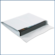 Expandable SHIP-LITE Envelopes