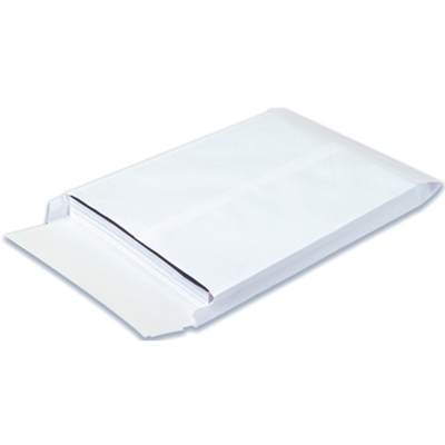 SHIP-LITE ENVELOPES